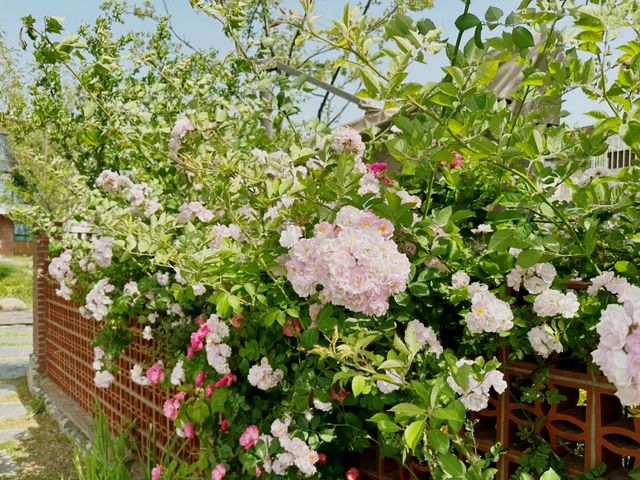 親子好去處｜宿遷牛角村度假酒店強烈推薦