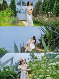 涠洲島最成功的一次春夏懸崖花園