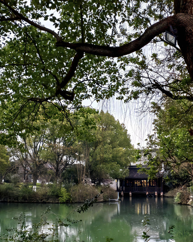 烏鎮：煙雨入江南 山水如墨染