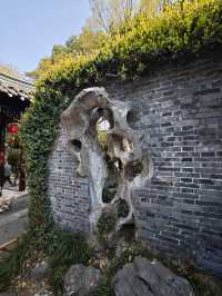 泰州喬園丨呢座500歲嘅小眾園林，點解會被遺忘！