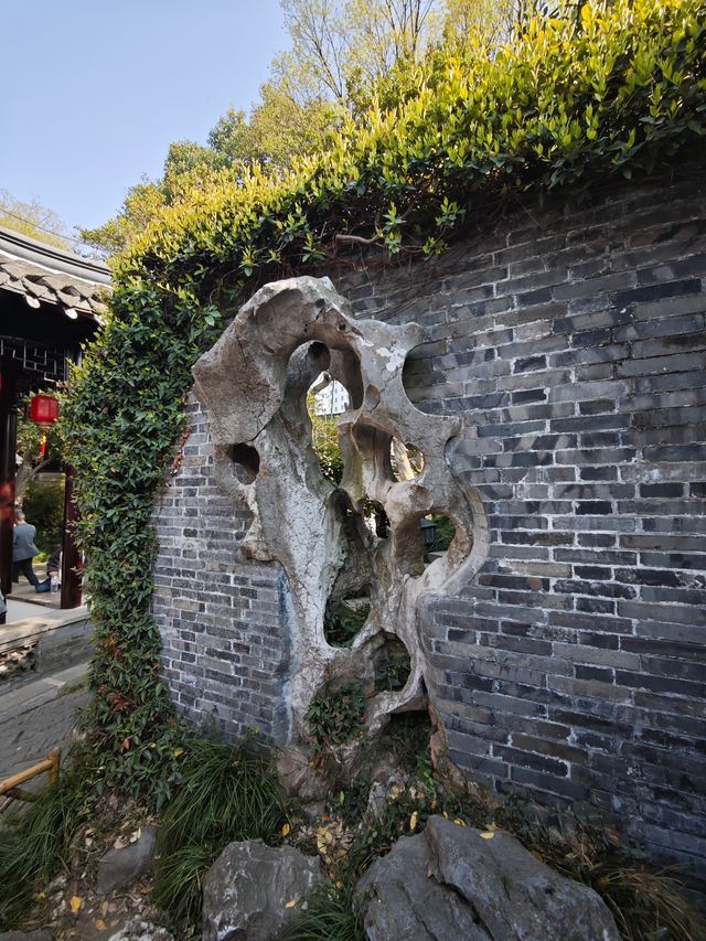 泰州喬園丨呢座500歲嘅小眾園林，點解會被遺忘！