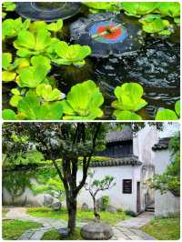 江南水鄉天花板！1500年的梅花洲，人少景絕！