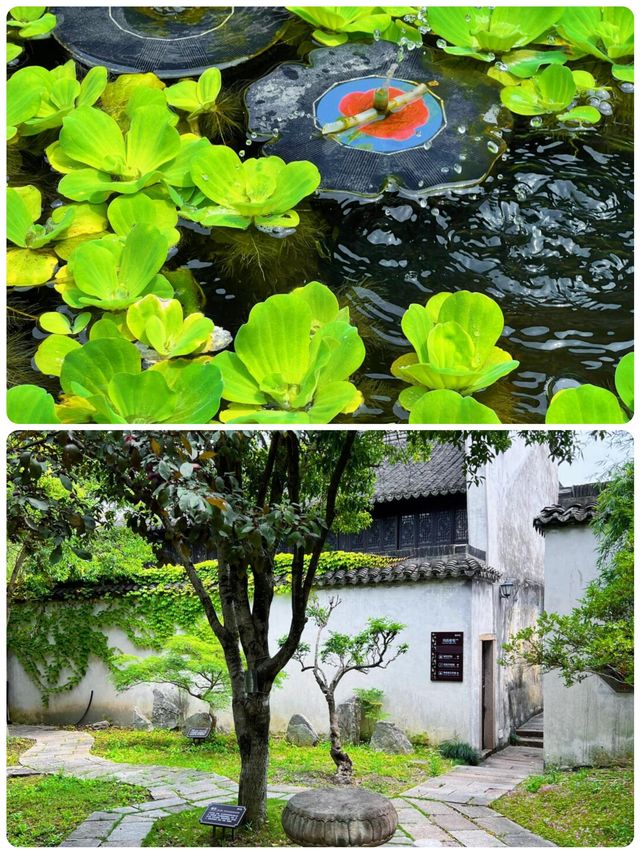 江南水鄉天花板！1500年的梅花洲，人少景絕！