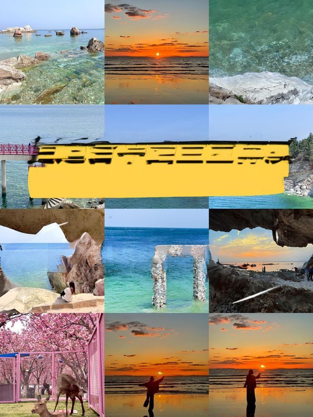 更適合中國寶寶體質嘅馬爾代夫— 養馬島