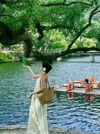 婺源遊玩高光指南｜本地人私藏玩法大公開。