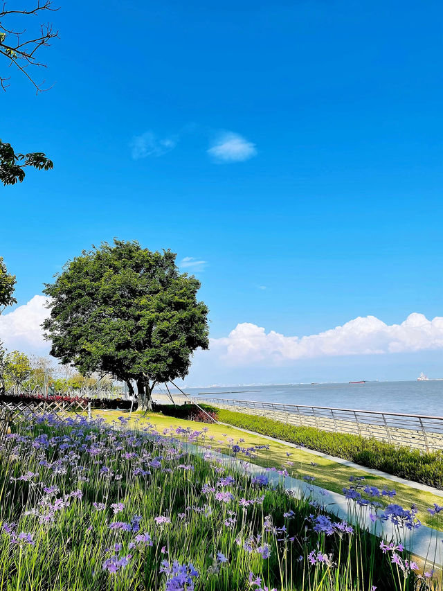 廣州南沙City Walk 睇海好去處！！