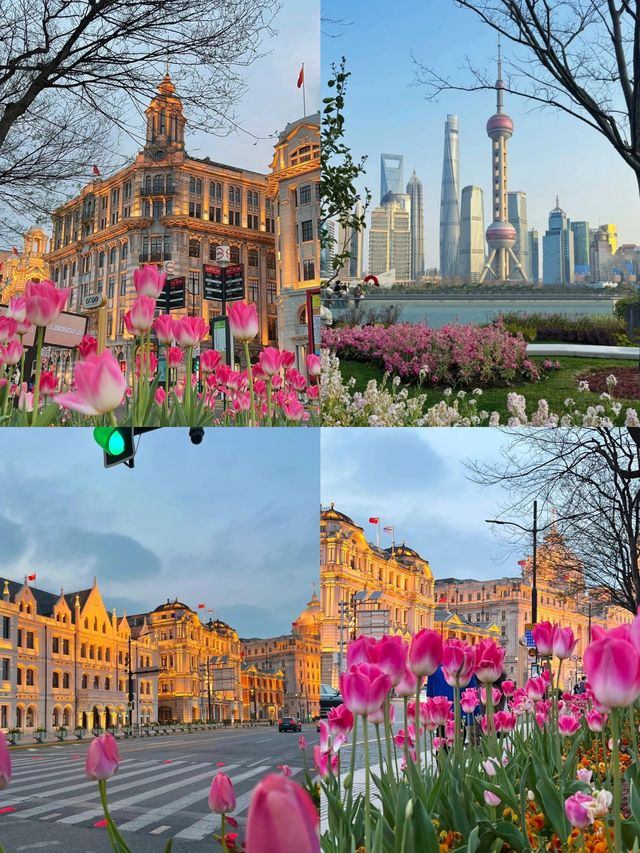 第一次去上海 我嘅建議係......
