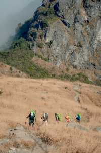 湖南八面山徒步全攻略：邂逅雲端的綠野仙蹤