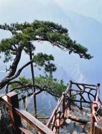 九江廬山｜避暑勝地清涼界 人文聖山詩意濃 
