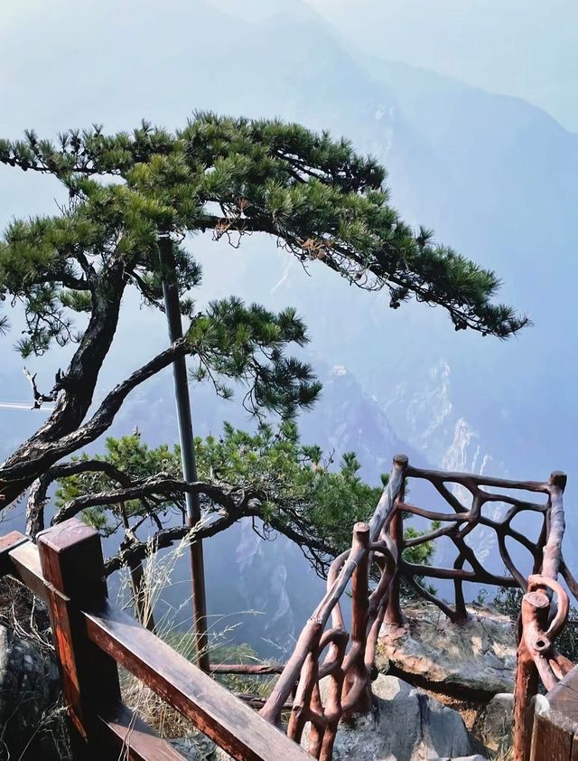 九江廬山｜避暑勝地清涼界 人文聖山詩意濃 