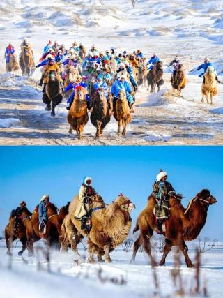 4-day, 3-night group tour, outdoor exploration of Xilingol's volcanic grassland and sandy land