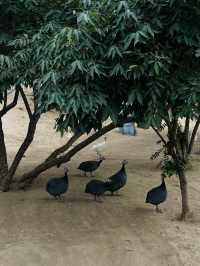 《太原》森林公園