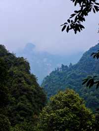 峨眉山避坑指南｜本地人私藏2日精華路線