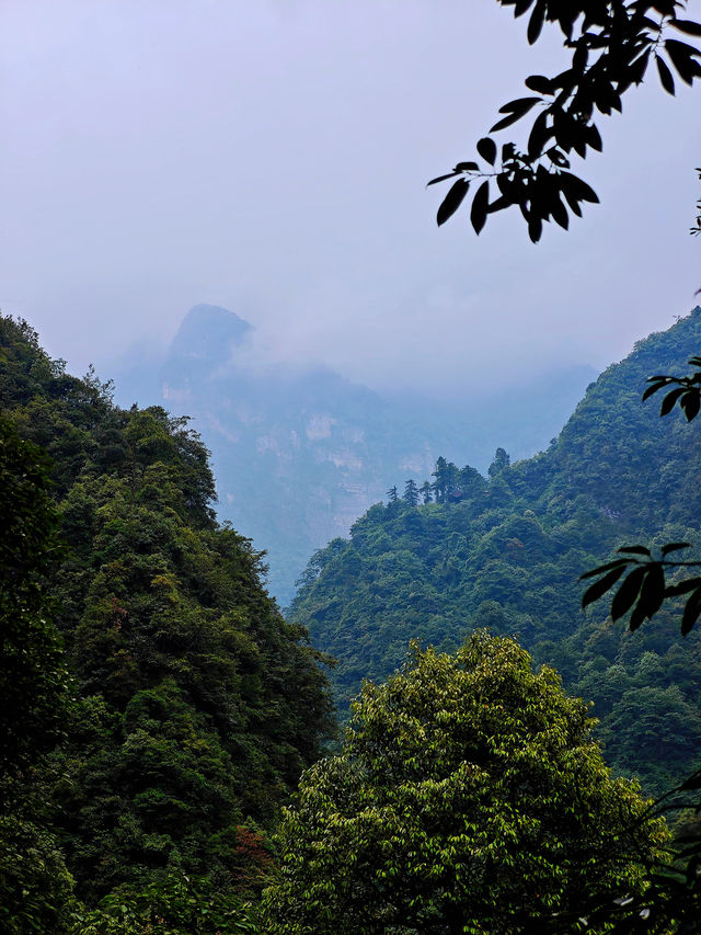 峨眉山避坑指南｜本地人私藏2日精華路線
