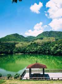 暑假廣東周邊絕美避暑秘境！25℃山野、冷泉溯溪、雲端茶田