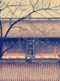 浙江省九龍禪寺　禅の心を癒す旅