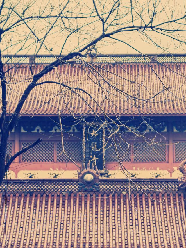 浙江省九龍禪寺　禅の心を癒す旅
