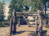 大阪隱世綠洲！長居公園沉浸式體驗全記錄】**  
