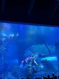 水底世界靚到似幅畫