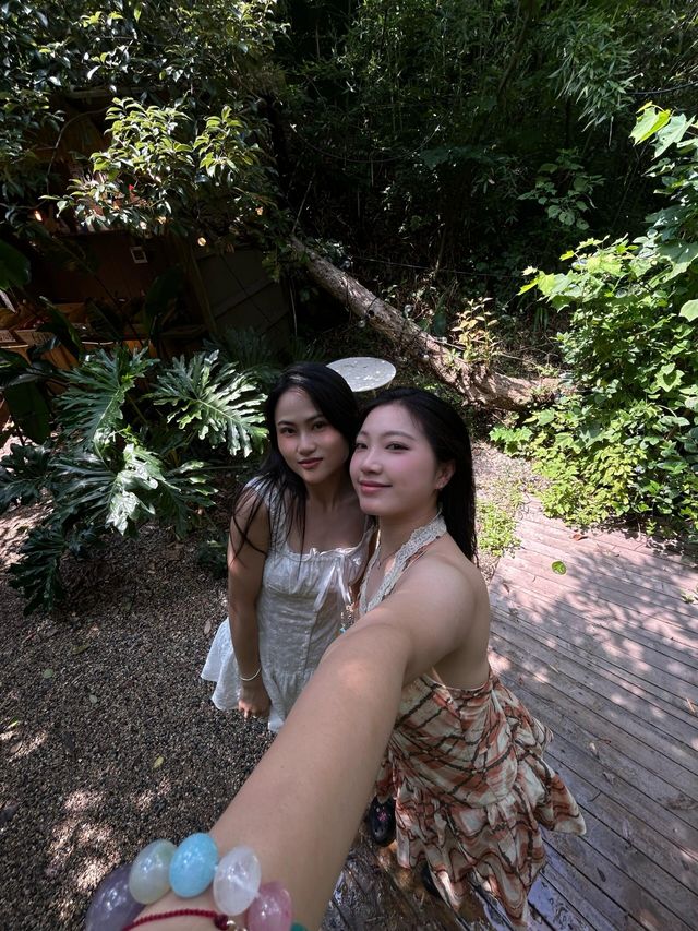 穿越魔法森林！丁達爾光線下的森系秘境太絕了