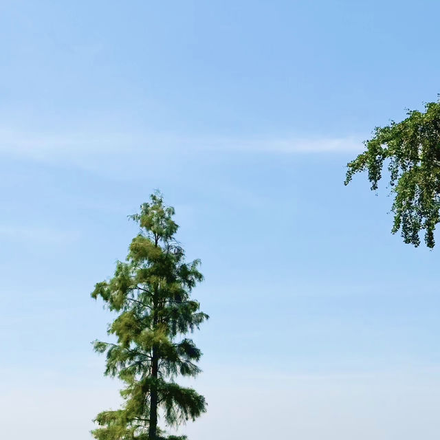 🚗🌊 Dianshan Lake & Panlong Tiandi Day Trip (Shanghai)*