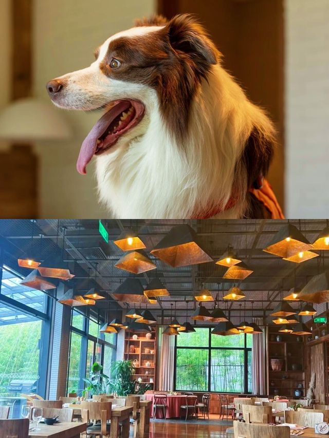蘇州太湖寶藏地，呢間酒店錯過拍大髀