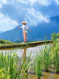 雲和梯田躲進宮崎駿嘅夏天避暑
