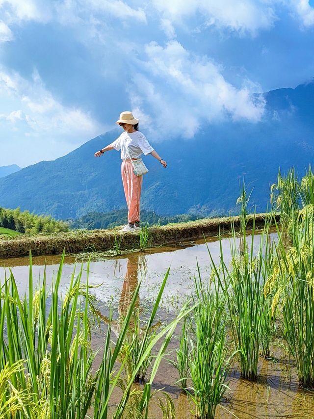 雲和梯田躲進宮崎駿嘅夏天避暑