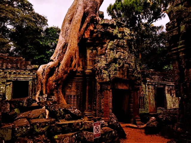 Best Sites to Witness Sunset in Angkor Archaeological Area