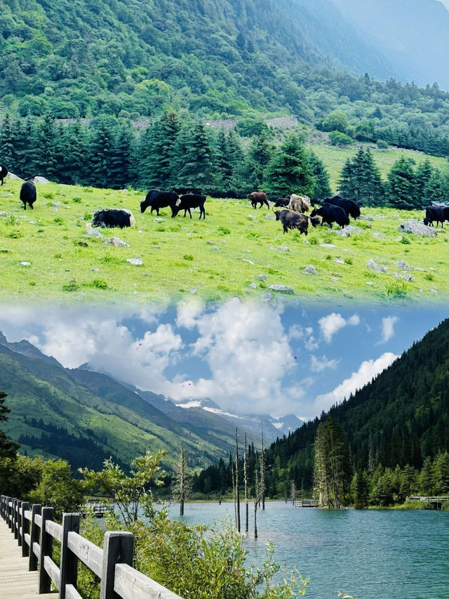 四姑娘山