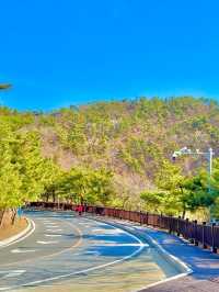 大連濱海路係呢座城市最浪漫嘅風景線之一，蜿蜒40公里串聯山海