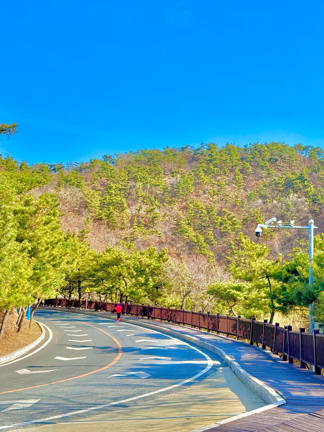 大連濱海路係呢座城市最浪漫嘅風景線之一，蜿蜒40公里串聯山海