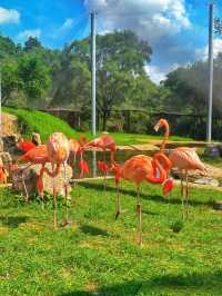 暑假沈陽森林動物園親子遊攻略,附酒店推薦!