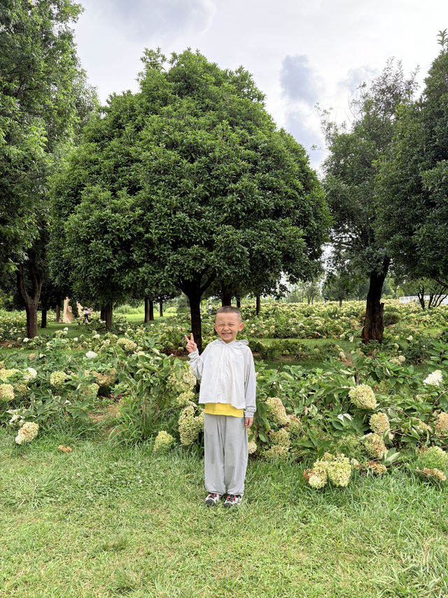 暑假親子遊|彌勒太平湖森林公園(附攻略) 暑假親子遊|彌勒太平湖森林公園(附攻略)