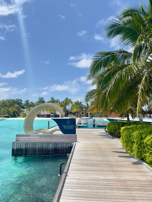 Comfortable Villas and Delicious Dining Experience