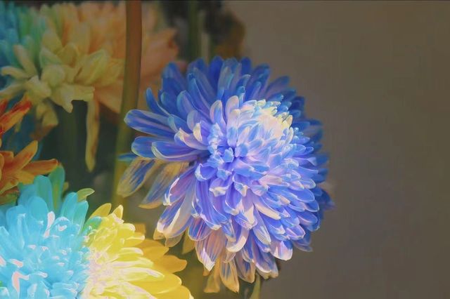 菊綻世博與雅宿流光:瀋陽世博園與豪澤希芮迪 菊綻世博與雅宿流光:瀋陽世博園與豪澤希芮迪