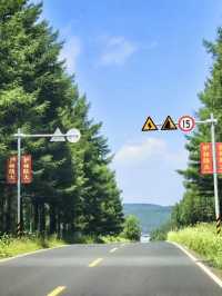 綠海無垠——塞罕壩森林公園