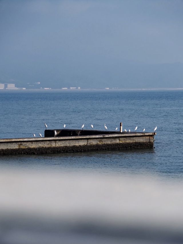 【深圳海邊侘寂美學|苫也·未名海民宿】 【深圳海邊侘寂美學|苫也·未名海民宿】