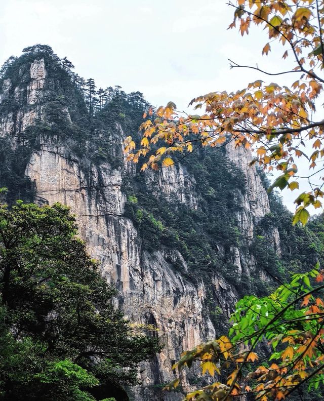 大明山深度遊攻略｜時間+交通+景點+住宿全指南 