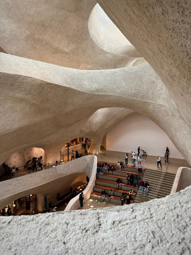 紐約生活碎片！治愈又浪漫的日常也太舒服了吧✨