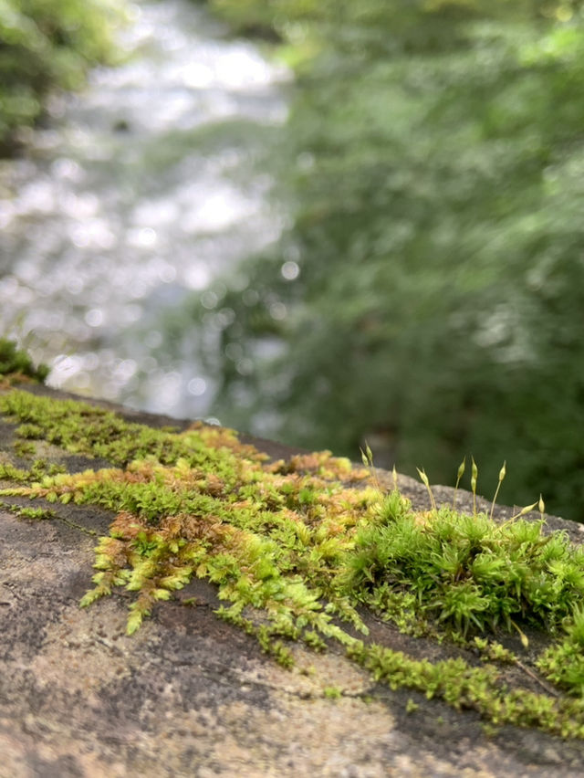 輕井澤三大必去景點路線🌿  