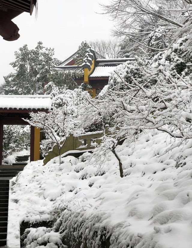 杭州下雪秒變臨安!江南雪景天花板被我拍到了~ 杭州下雪秒變臨安!江南雪景天花板被我拍到了~