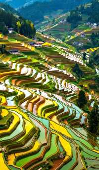 層層疊疊的田壟如天梯般蜿蜒山間，吊腳木樓隱現於雲霧中如仙境