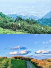 玩轉台北後花園！陽明山國家公園超全攻略