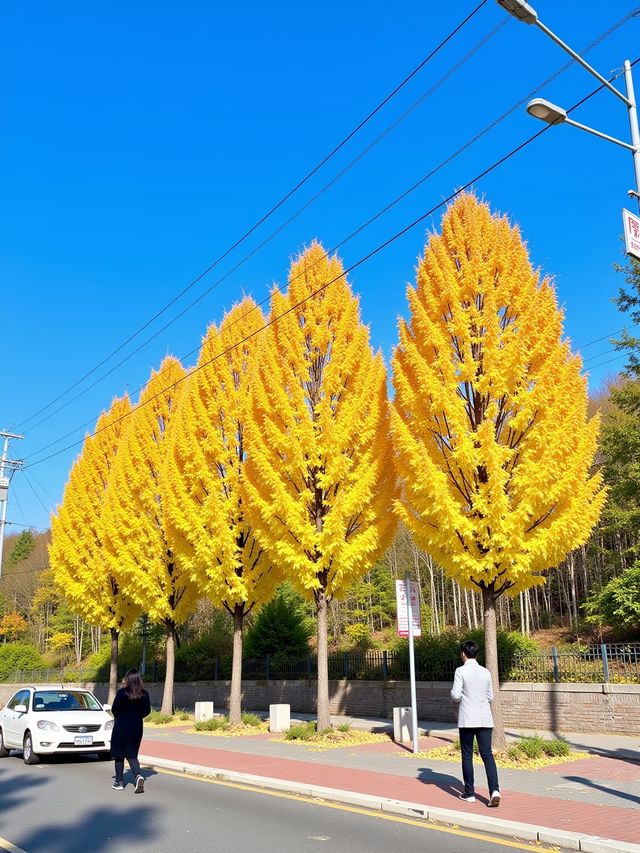廣東秋日必打卡 銀杏童話世界就在南雄！