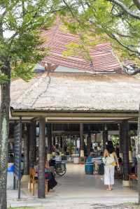 蘇梅島隱藏花園機場！按摩平價還能免費吃