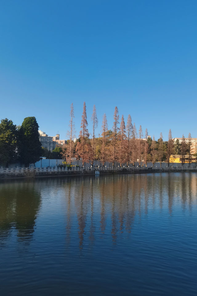 100% Perfect Photo Opportunities by Cuihu Lake in Autumn – Enjoy a Relaxing Off-Peak Stay at Crowne Plaza Kunming City Centre