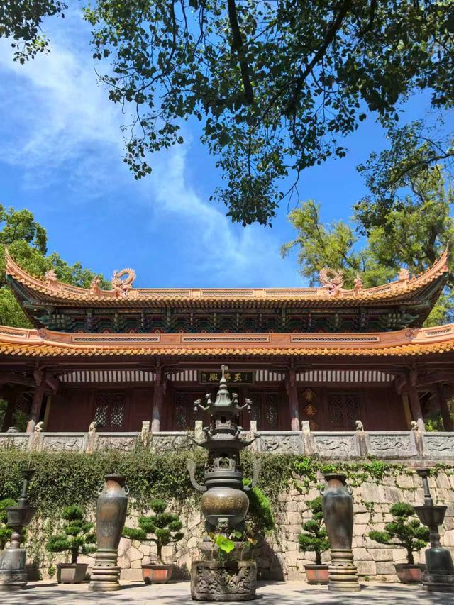普陀山兩日淨心之旅真的太治癒了! 普陀山兩日淨心之旅真的太治癒了!