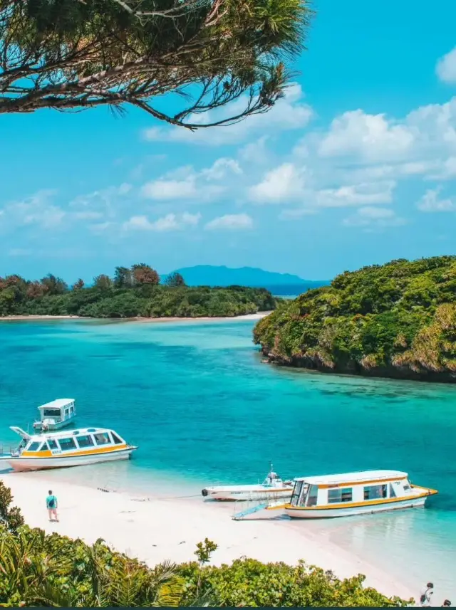 Visit Okinawa During the Off-Season!