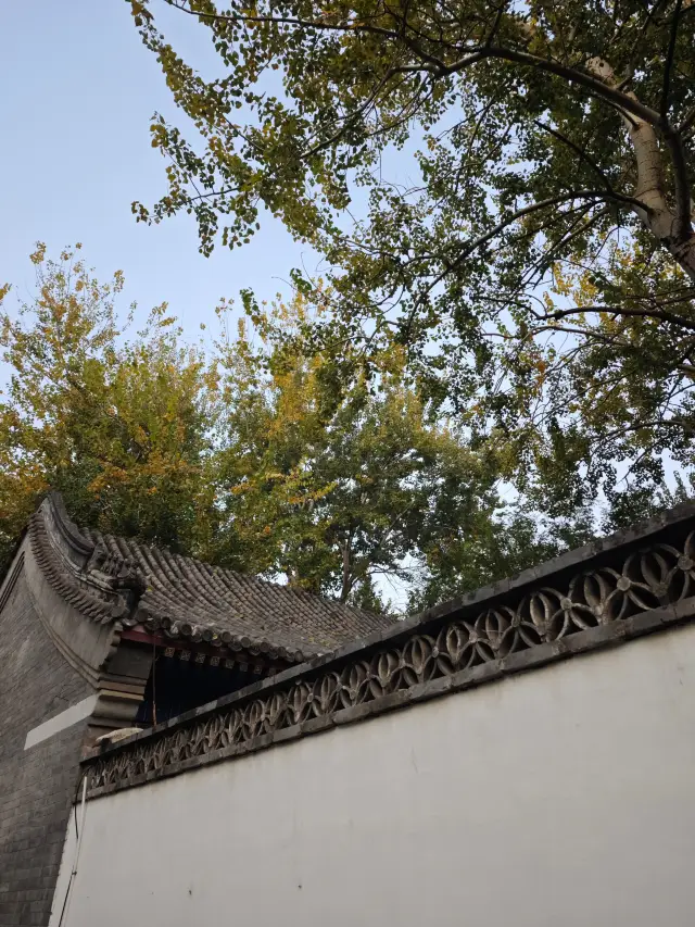 45歲大叔2025跳繩打卡第209天——